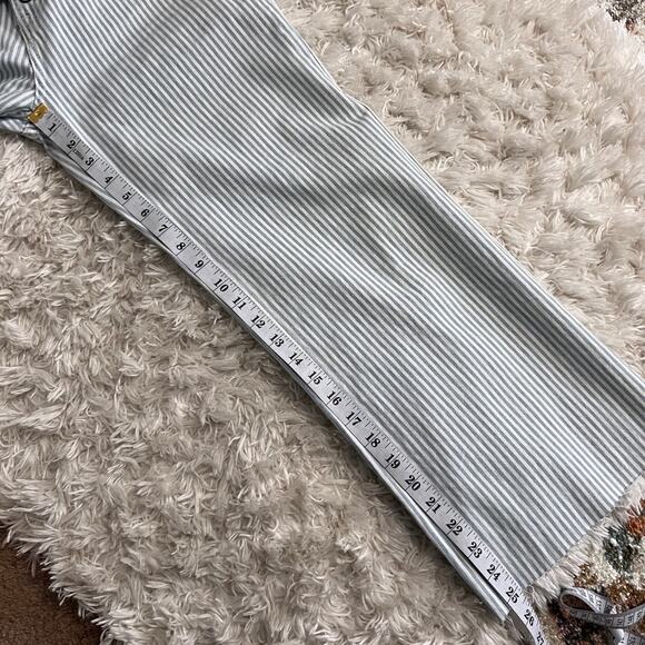 Abercrombie & Fitch Blue Striped Button Fly Pants Size 27/4R - Picture 7 of 7